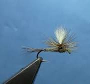 Parachute Adams Fly Tying Materials – Dakota Angler & Outfitter