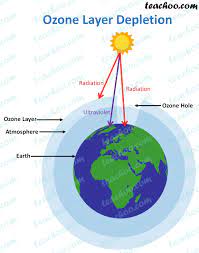 Learn what cfcs are, how they have contributed to the. Ozone Layer Depletion Causes And Effects Teachoo Concepts