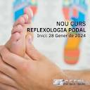 Reflexologia Podal - Cefel escola de teràpies alternatives