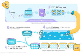 This is the biggest pool for mining eth. Why Are The Gas Prices So High Here S An Infographic That Explains What Is Actually Happening With A Tx Behind The Scenes Ethereum