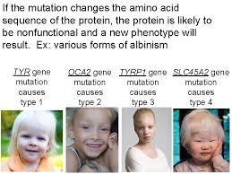 Click on what is dna? 1. How Mutations Can Change The Amino Acid Sequence Of A Protein