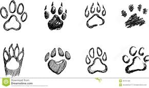 Draw A Dog Paw Print How To Draw A Paw Paw Sketch Dog Paw Drawing Paw Print Drawing This dog has a regular head shape, and floppy ears, four paws and a tail.
