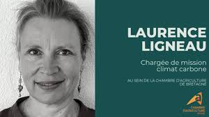 Dans le cadre des actions impulsées par le Président de la République  Alassane Ouattara, la région de La Mé se dote de son Plan Vert pour  défendre et valoriser son environnement ! |
