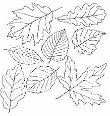 It may be a little bit late to post these autumn leaves, but they are worth it. Trees And Leaves Colouring Pages Page 2 Coloring Library