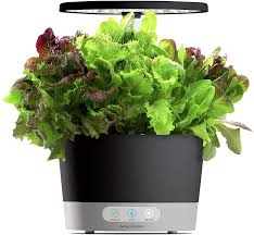 A mild your aerogarden is now soap may be used if desired, ready for replanting. Aerogarden Harvest 360 Review Two Peas In A Condo