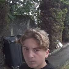 Please be wary of this person with a group of young boys accompanying him,  they are knocking door to door in Rochford at the moment, claiming trees  and bushes are diseased or