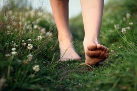 You Walking Through The Soft Grass Of The Field Probably Admiring Our Horse Friends P Dont Forget To Smile Aesthetic Reasons To Smile