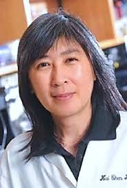 Repopulation of tolerogenic B cells post B cell depletion therapy in lupus 