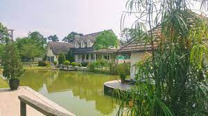 Macam mana untuk pergi taman perindustrian puchong (tpp) dengan bas? Our Wonderful Simple Life A Park Pulau Meranti Puchong
