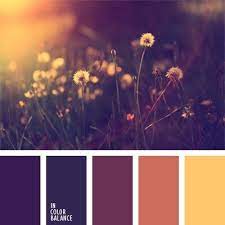 List of amazing warm color combinations. Warm Purple Color Palette Google Search Coral Colour Palette Purple Color Palettes Color Palette