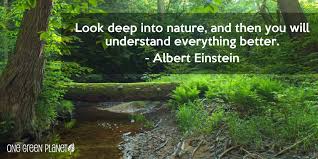 Be one with nature, importance of nature, beauty of nature, albert einstein quotes, better understanding | Healthy Habits to adopt in your twenties | Expressing Life