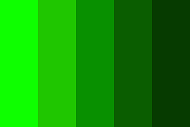 This hue also has a warm, gentle appeal because of its perhaps for this reason, deep shades of green are calming to the eye. Light Green To Dark Green Color Palette