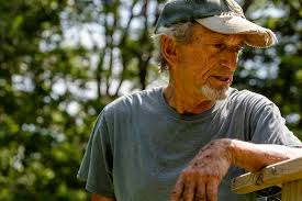 Uptick in Spraying Is Harming Local Pollinators