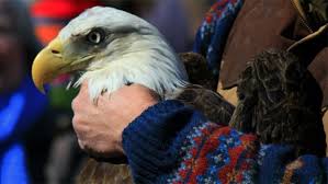 It's a nonprofit so you feel guilty ever questioning their methods. Another Bald Eagle Success Story For Wildlife Center Of Virginia Wamu