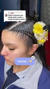 Peinado Para Cueca Campesina Mujer