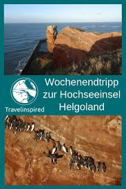 Helgoland Im Winter Babyzeit Bei Den Kegelrobben Travelinspired Helgoland Urlaub Helgoland Urlaub In Deutschland