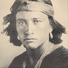 Tom Bee's Instagram, Twitter & Facebook