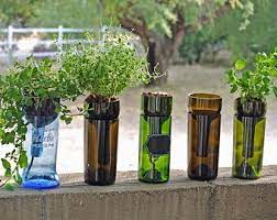 Hydroponic Garden In Glass Bottle Wine Gift Bottle Planter Pot Repurposed Bottle Wine Bottle Planter Indoor Herb Garden Planting Herbs