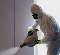 disinfectant fogging sanitizer liquid ile ilgili görsel sonucu