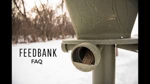 Boss buck feeders aim to alleviate these problems through their versatile design. Feedbank 300 Gravity Deer Feeder Banks Outdoors