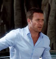 404 N 10 It Cast Alex O Loughlin Hawaii