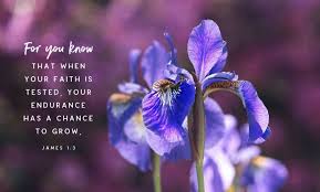 Pin On Bible Verses