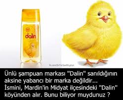 Vayyyyy Be Polina Biliyor Muydunuz Gizli Bilgi Bilgi Karti