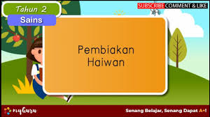 Haiwancara haiwan membiak bertelur mel.) Tahun 2 Sains Pembiakan Haiwan Youtube