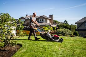 Maybe you would like to learn more about one of these? Lawn Mowing And Maintenance In Victoria Bc Costa Verde