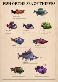 The megalodon is a dangerous species of giant shark that roams the open waters of the sea of thieves, preying on player ships. Sea Of Thieves How To Fish On The Sea Of Thieves