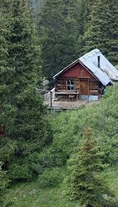 5 Celebrities Awesome Cabin In The Woods Avec Images Petite Maison Bois Maisons Insolites Chalet Bois