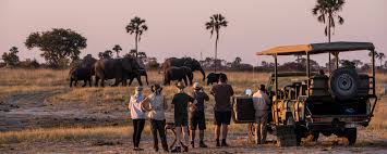 Engabi tours and travel is one of the most reliable and best african safari companies,tour operators and travel agencies with reviews in uganda, rwanda, tanzania and congo for travelers going for a uganda safari, rwanda safari, tanzania safari and congo safari tour. Best African Safari Tours Our Top 10 Picks Go2africa