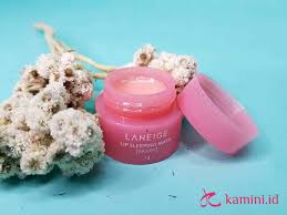 Pelembab atau moisturizer menghidrasi dan melembabkan kulit agar tetap kenyal dan tidak kering. Review Laneige Lip Sleeping Mask Yang Super Melembabkan