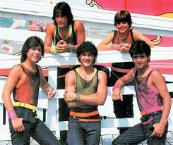 This is a list of menudo members unlike most bands edgardo dazs menudo had a long list of members because the bands members had to leave after turning 1. Menudo Ray Rayes Roy Rossello Charlie Masso Ricky Martin Robi Draco Rosa The Puerto Rican Boy Band Started In 1977 Ricky Martin Boy Bands Music Collage