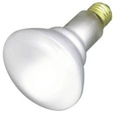 Satco Light Bulbs At Lightbulbs Com