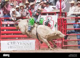 Cheyenne, Wyoming, USA. 26th July, 2015. Bull rider Aaron Pass hangs