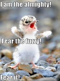 30 Funny Animal Captions Part 5 30 Pics Amazing Creatures Cute Animals Funny Animals Funny Animal Pictures