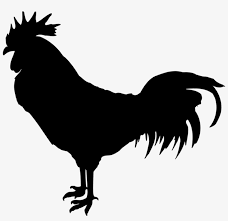 Download Rooster Silhouette Crown Rooster Transparent Png 1890x1851 Free Download On Nicepng
