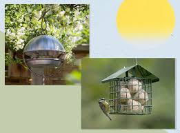 Clear bird feeder baffle is a 16 inch clear plastic weather shield for hanging bird feeders (as shown). Best Bird Feeders 2021 For Your Garden From Rspb To Red Candy The Independent
