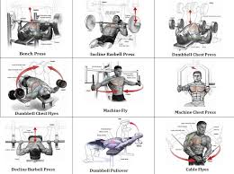 Body Building Workouts Chest Workouts Best Chest Workout