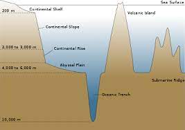 Jul 12, 2021 · a large body of salt water. Oceanic Basin Wikipedia