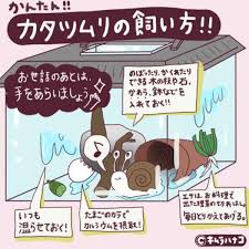 ウーマンエキサイト