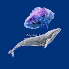 Whale Blow Me Away Whale Blow Away