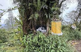 Gunung Pohen - hikes and trails to get you there | AllTrails