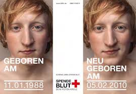 Obst- und Gartenbauverein Rodalben