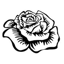 Thank you both so much for the great friendly service and the great price.she absolutely loved them. Vegas Rose Home Facebook