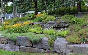 Lee Valley Tools Gardening Newsletter Backyard Landscaping Landscaping Retaining Walls Pool Landscaping
