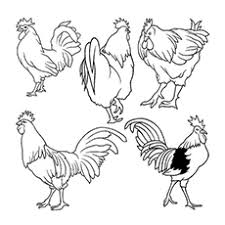 Funny rooster farm animal coloring pages. Top 10 Free Printable Rooster Coloring Pages Online
