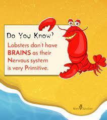 Click about to get started! Interesting Lobster Facts For Kids