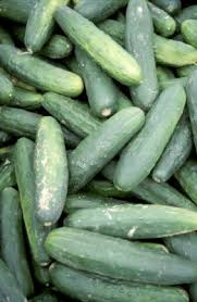 Maybe you would like to learn more about one of these? Growing Cucumbers Melons Together